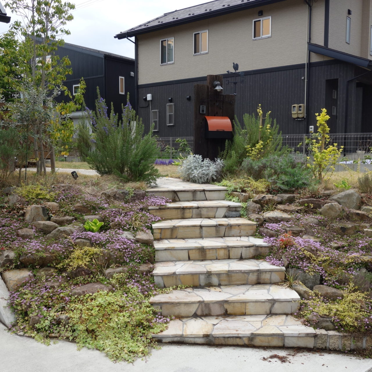 ｶﾞｰﾃﾞﾆﾝｸﾞ④