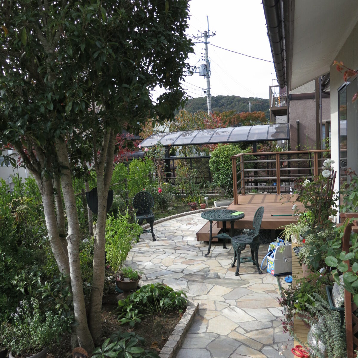 ｶﾞｰﾃﾞﾆﾝｸﾞ①