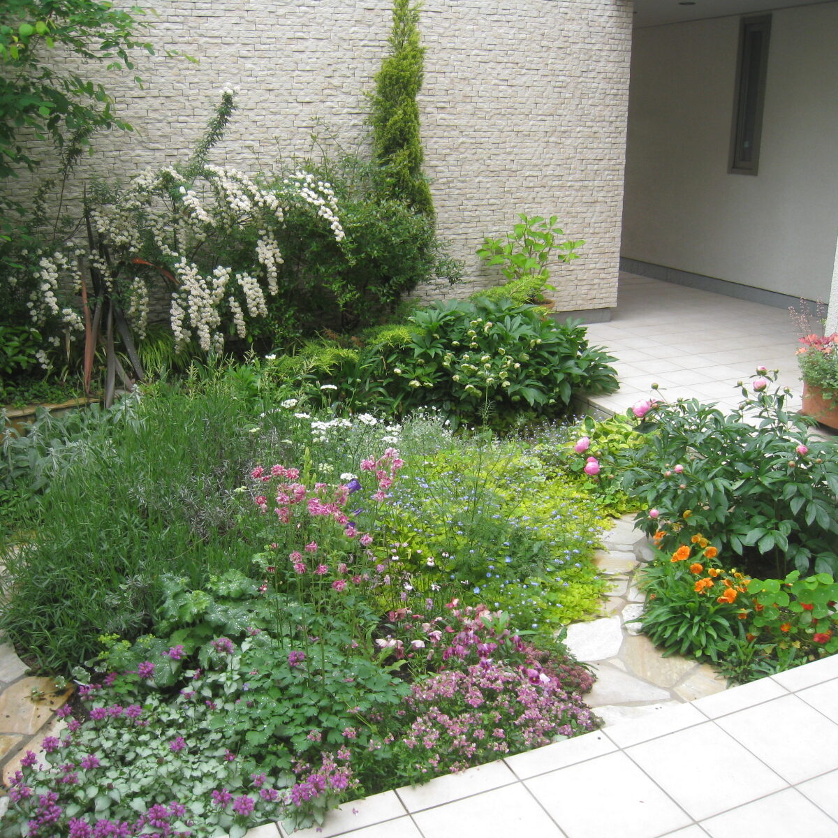 ｶﾞｰﾃﾞﾆﾝｸﾞ②